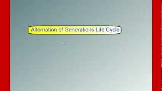 Alternation of Generations Life Cycle [upl. by Joel746]