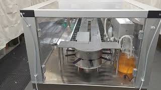 IQDSX Dipslide Filling Machine [upl. by Euqram269]