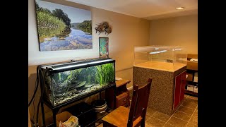 Potomac River Biotope Tank Aquascaping Update  Plus New Project Reveal Oyster Reef Tank [upl. by Oguh]