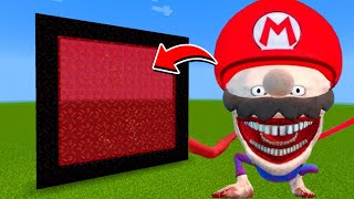 How to Make A Portal To The Mario Tapes Dimension in Minecraft [upl. by Enimisaj]