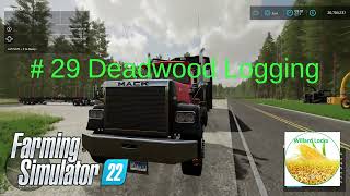 Selling Products   29 Deadwood Logging  Farming Simulator 22 farmingsimulator22 [upl. by Aillicsirp]