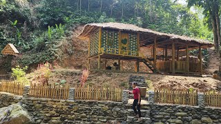 Harvesting ginger gardens to sell at markets pets farms  Lý Thị Viện [upl. by Blunk]