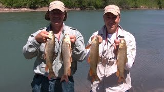 Boatless Angler  Tips on Catching Suckers from Shore  Excellent Catfish Bait [upl. by Bac]