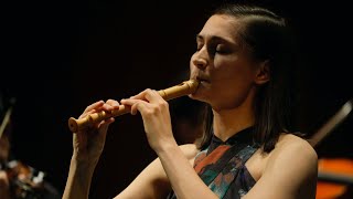 Sammartini Concerto in F for recorder and strings  Orquesta de Córdoba  Sophia Schambeck [upl. by Hana]