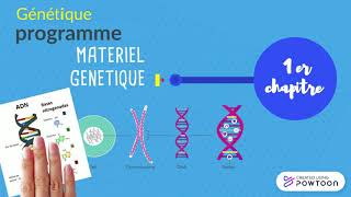 GENETIQUE  Programme L2 GENETIQUE SNV BIOLOGIE GENETIQUE [upl. by Ellinnet]