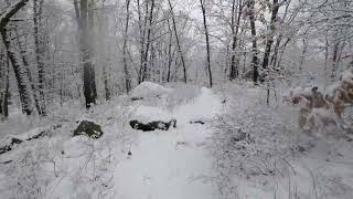 New England Trail hike through Snow ASMR relaxing walk [upl. by Ettenej]