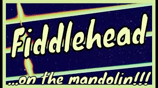 Fiddleheadon the mandolin [upl. by Anamuj805]