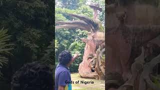 Gods of Nigeria youtubeshorts africa tamil viralvideo trending shortsfeed [upl. by Reidid]