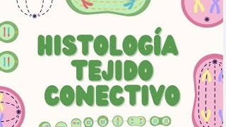 Histología del Tejido Conectivo Estructura y Función [upl. by Nilson]