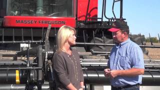 Massey Ferguson Across America9895Combining Soybeans in Illinois [upl. by Wojak]