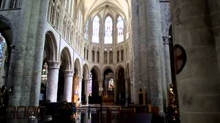 Organ of the Cathedral of St Michael and St Gudula in Brussels [upl. by Zaneta74]