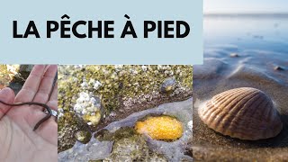 La pêche à pied [upl. by Reich]