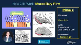 Eustachian Tube Dysfunction amp Middle Ear Disease Anatomy Physiology Current ET Dilation Surgery [upl. by Eissalc657]