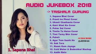 Trishala Gurung songs collection 2018 Jukebox [upl. by Lusar]