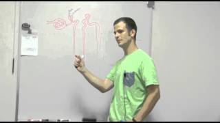 Nephron Function Part 1 [upl. by Wynne]