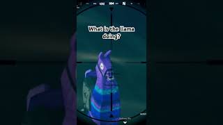 What is the llama doingfortnite fortclips fortnitememes fortniteclips memes gaming [upl. by Ahsead442]