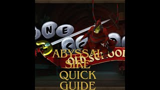 OSRS Abyssal Sire Quick Guide 2024 [upl. by Alrahc]