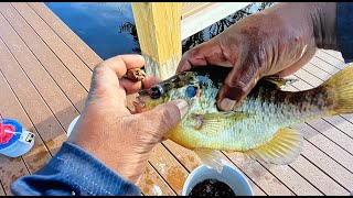 Catching amp Keeping Slabs CatchCleanCook [upl. by Alistair]