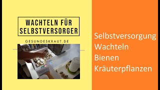 Wachteln für Selbstversorger [upl. by Assenal393]