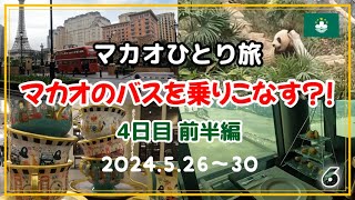 【マカオ】⑥ 4日目前半編 2024526〜30 ・石排湾郊野公園澳門大熊貓館（パンダ館） ・ザ ロンドナー マカオ ・マカオタワー 思い出 [upl. by Alyse815]