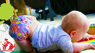 Funniest Baby Make A Super Fart 2 Funny Pets Moments babyfarts [upl. by Nalak]