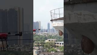 See how a beehive is removed using a drone 😱 shorts [upl. by Aleihs]