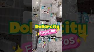 Mis productos FAVORITOS de Organización que hay en Dollarcity 🗃💛dollarcity [upl. by Adda202]