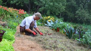 The GrassFed Market Garden No Water No Weeds No Tilling [upl. by Anan]