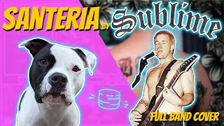 Santeria by Sublime – Full Band Cover – Risky Biscuit Band [upl. by Saleme967]