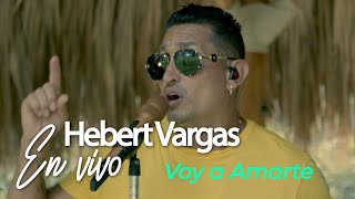 Hebert Vargas  Voy a Amarte En vivo [upl. by Luebke523]