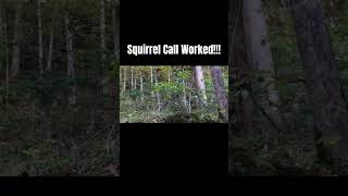 Squirrel Call Brings Squirrel In Close [upl. by Oecam]