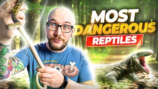 The 5 Most Dangerous Reptiles In The World [upl. by Klockau366]