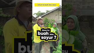 Coba tebak Timun itu buah atau sayur  shorts viral timun [upl. by Attenborough988]