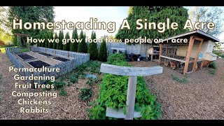 Our 1 Acre Homestead  How We Micro Farm [upl. by Amahcen]