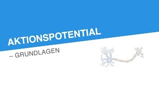 AKTIONSPOTENTIAL – GRUNDLAGEN  Biologie  Neurobiologie und Verhalten [upl. by Anilac509]