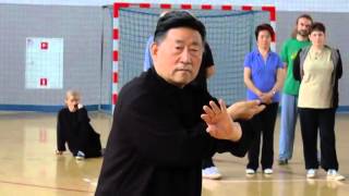 Tai Chi Forms 2  Chen Xiao Wang [upl. by Pansir]