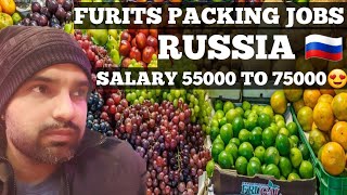 Russia work visa🇷🇺 fruits packing jobs in russia🍇🍎 Work visa russia amazing salary 😍🇷🇺🇮🇳 [upl. by Eidlog]