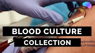 Blood Culture Collection  OSCE Guide  UKMLA  CPSA [upl. by Xel]