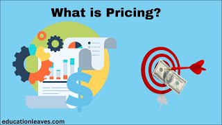 What is Pricing in marketing  Pricing strategies [upl. by Atiragram]