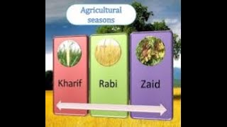 Cropping Seasons in India and Pakistan  Kharif Rabi and Zaid Crops [upl. by Almena]