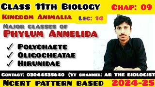 Classes of phylum Annelida Polychaete Oligocheatae l Hirunidae kingdom Animalia Invertebrates [upl. by Domeniga]