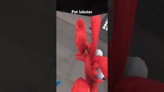 Make my pet lobster go viral please [upl. by Wight509]