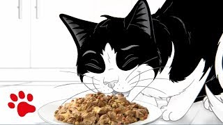 Purina Felix Sensations Commercial Dads home alone [upl. by Rehpinej831]