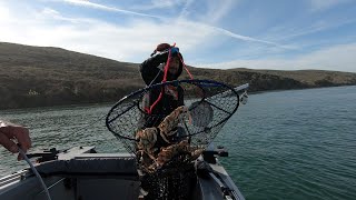 DUNGENESS CRAB amp GOOD TIMES Tomales bay crabbing 2024 [upl. by Thomsen]