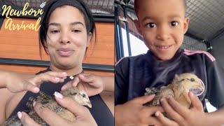 Bradley Beals Wife Kamiah Lets The Boys Handle Their Pet Chickens 🐓 [upl. by Nylatsirhc]