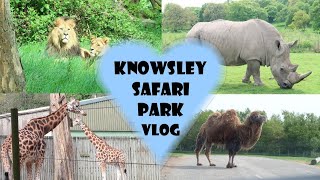 Knowsley Safari Park Vlog 2022  Drive Safari amp Foot Safari  Liverpool England UK Day Trip Out [upl. by Daegal]