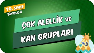 Çok Alellik ve Kan Grupları  10Sınıf Biyoloji 2024 [upl. by Refiffej]