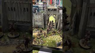 NZ MESBG Finals  Terrain Expo tabletopterrain mesbg middleearthstrategybattlegame warhammer [upl. by Venuti]