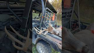 Cameron put a big buck in the meat wagon subscribe deerhunting hunting wildlife buckbrothers [upl. by Glyn]