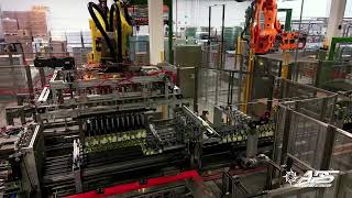 APS Full Bottling line 250 bpm CAPETTA [upl. by Amsed]